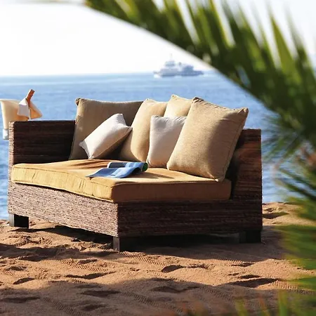 Jonquille Cannes