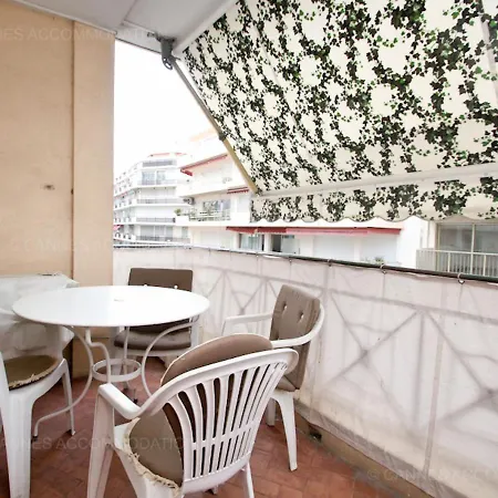 Jonquille * Cannes